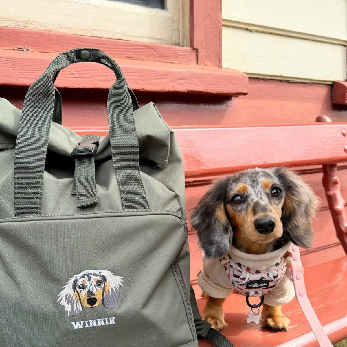 Recycled Large Embroidered Pet Portrait Backpack - Lucy and Lola Shop