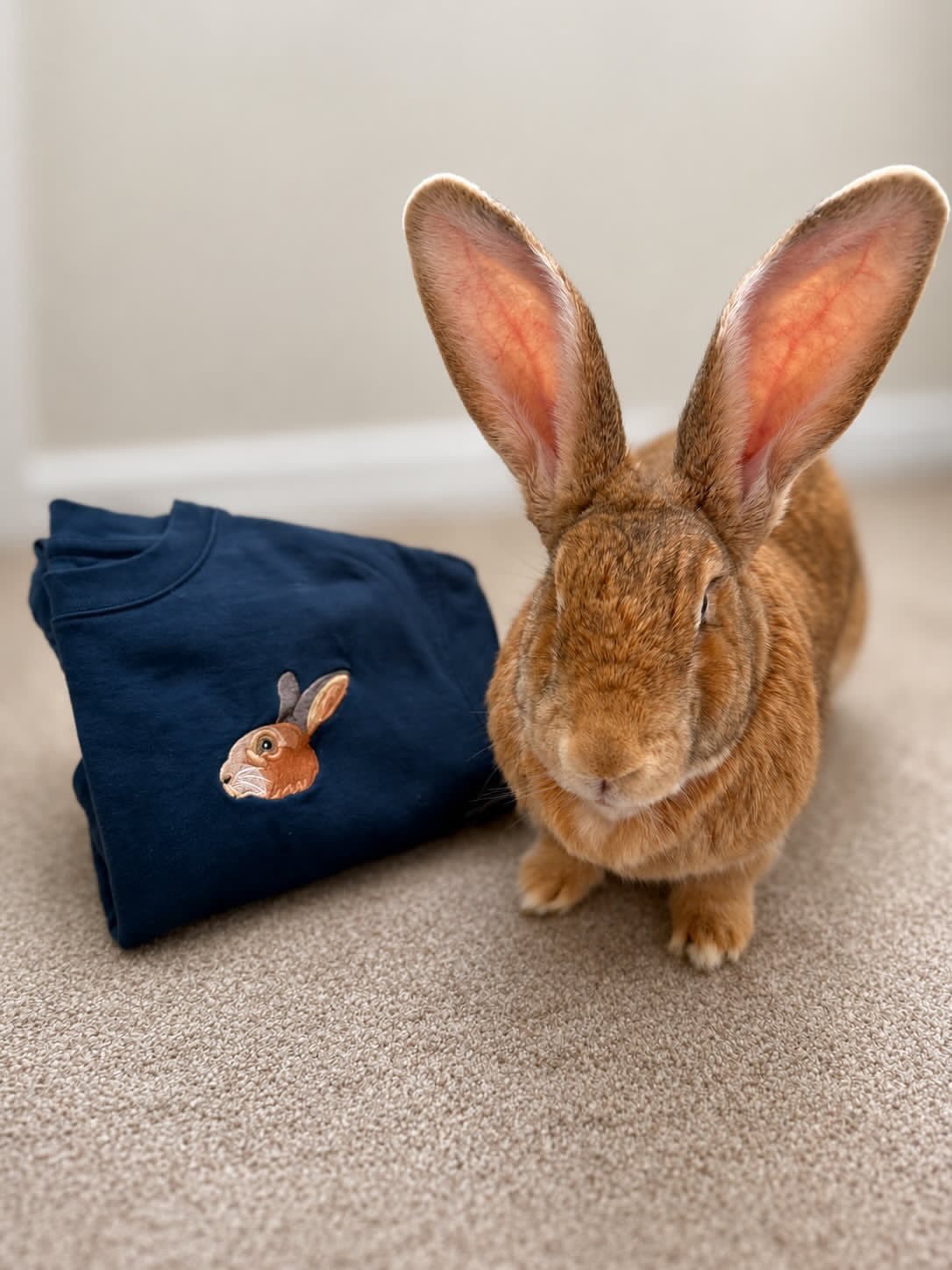 Christmas Gifts for Rabbit Owners (Their Actual Bunny, Stitched) - Lucy and Lola Shop