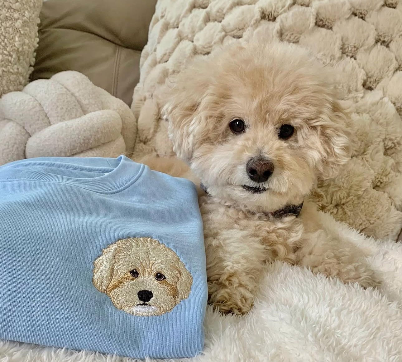 🐾 The Stories Behind the Stitches - Lucy and Lola Shop