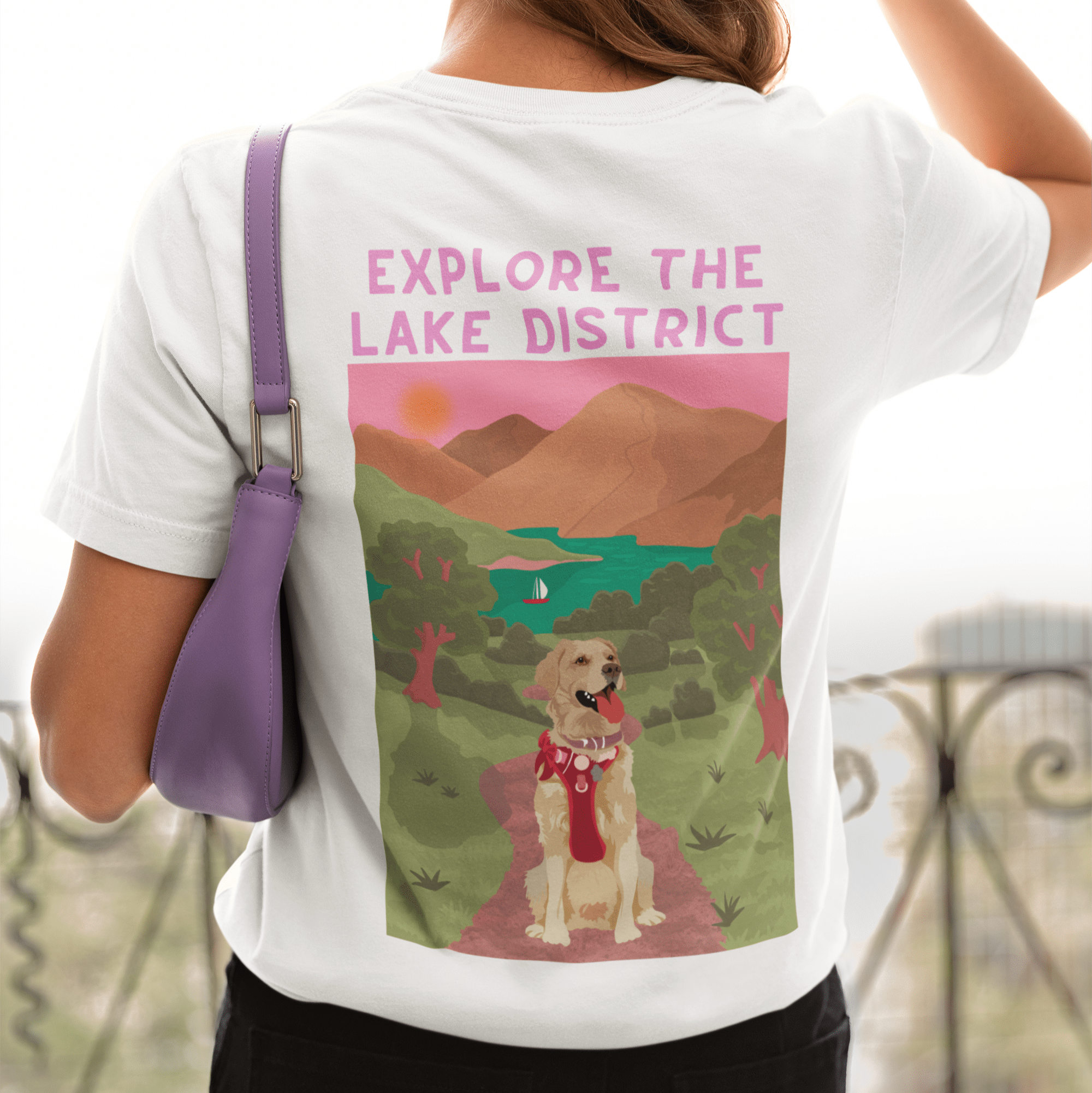 Adventures with my Dog Collection! - Lucy and Lola Shop
