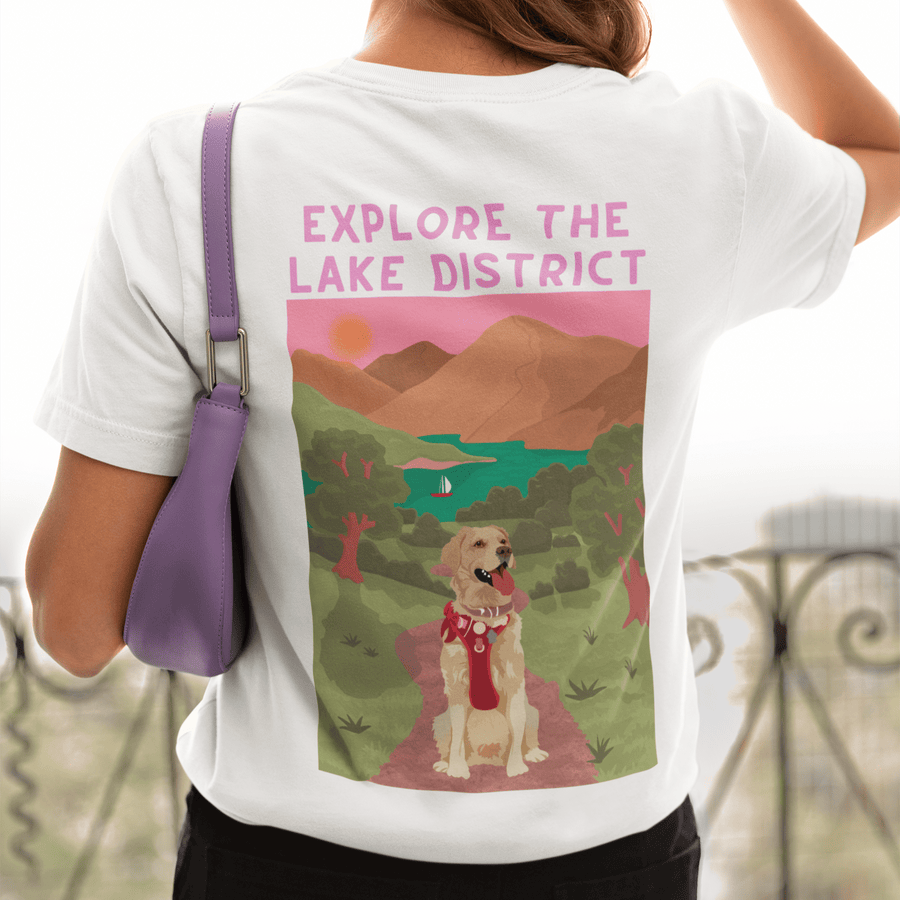 Adventures with my Dog Collection!
