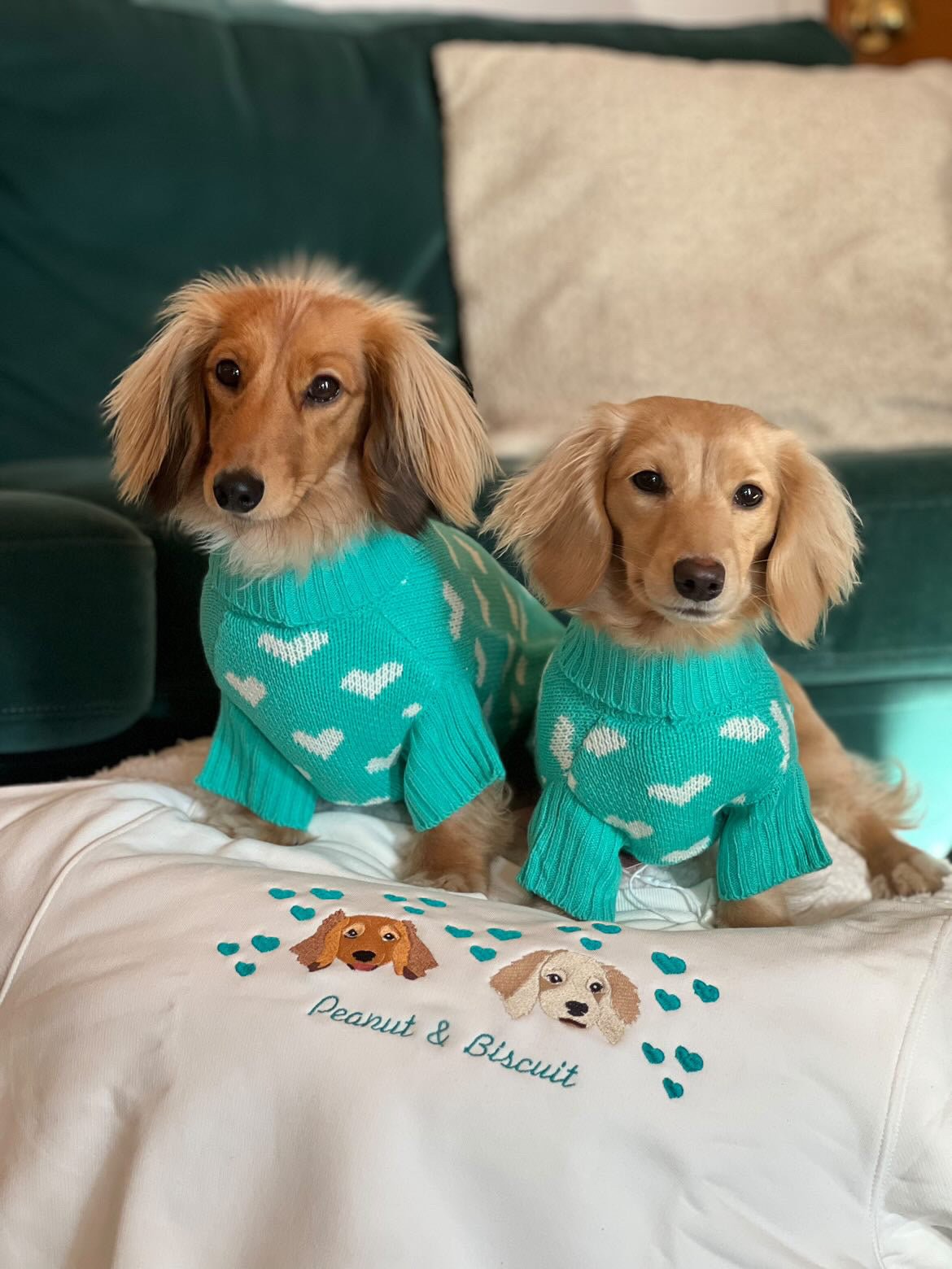 For Pets - Lucy and Lola Shop