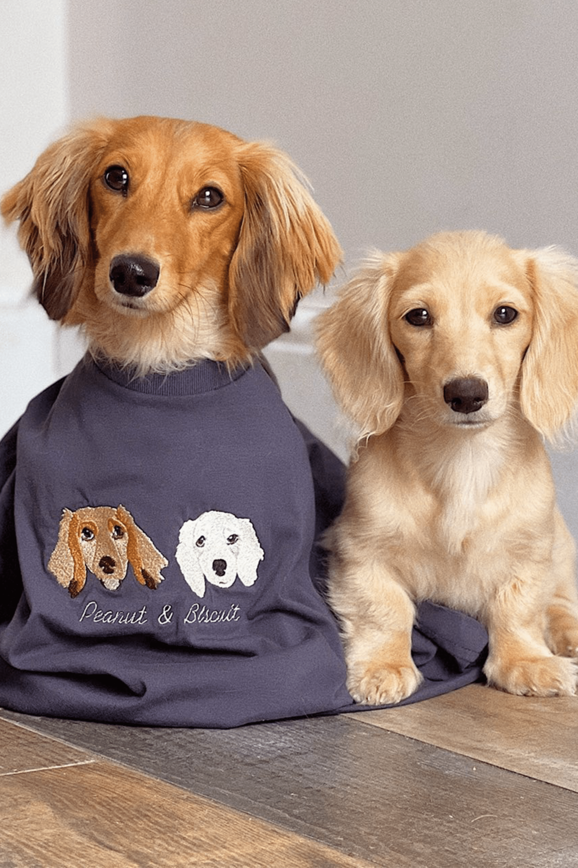 Organic T Shirts - Lucy and Lola Shop