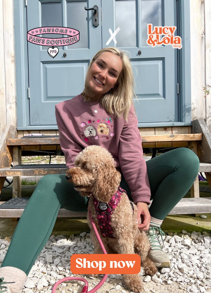 Lucy & Lola X Pawsome Paws Boutique Autumn Collection
