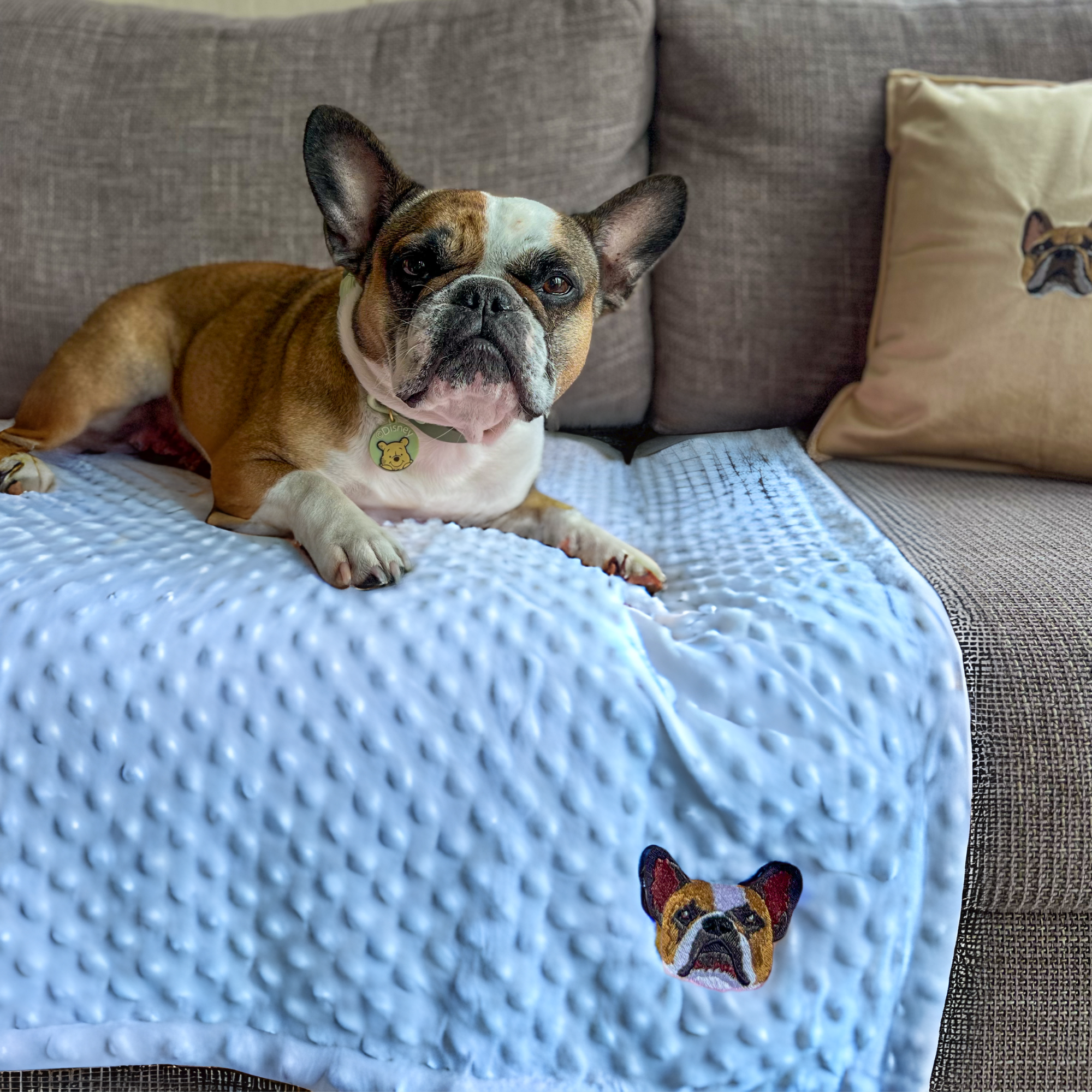 Embroidered Custom Pet Portrait Pet Blanket