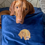 Embroidered Pet Portrait Velvet Cushion