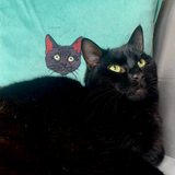 Embroidered Pet Portrait Velvet Cushion