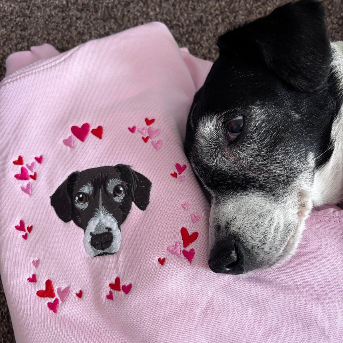 CLEARANCE: Embroidered Pet Portrait Hearts Sweatshirt - Lucy and Lola Shop