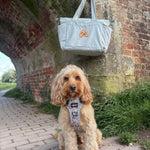 Custom Embroidered Pet Portrait Recycled Oversized Tote Bag - Lucy and Lola Shop