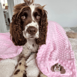 Embroidered Custom Pet Portrait Pet Blanket - Lucy and Lola Shop