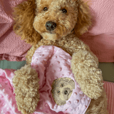Embroidered Custom Pet Portrait Pet Blanket - Lucy and Lola Shop