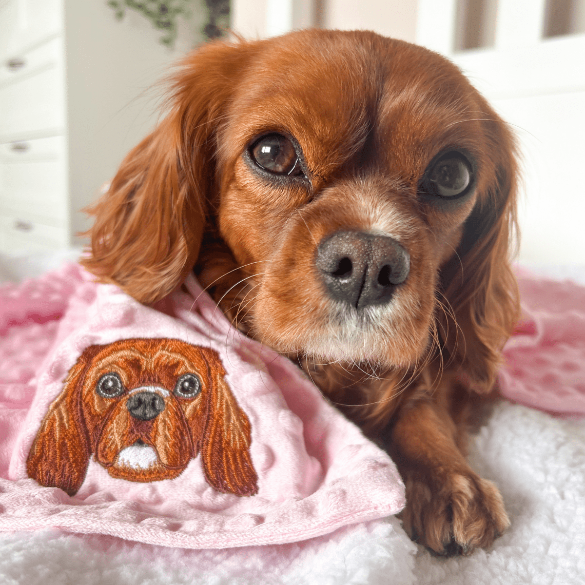 Embroidered Custom Pet Portrait Pet Blanket - Lucy and Lola Shop