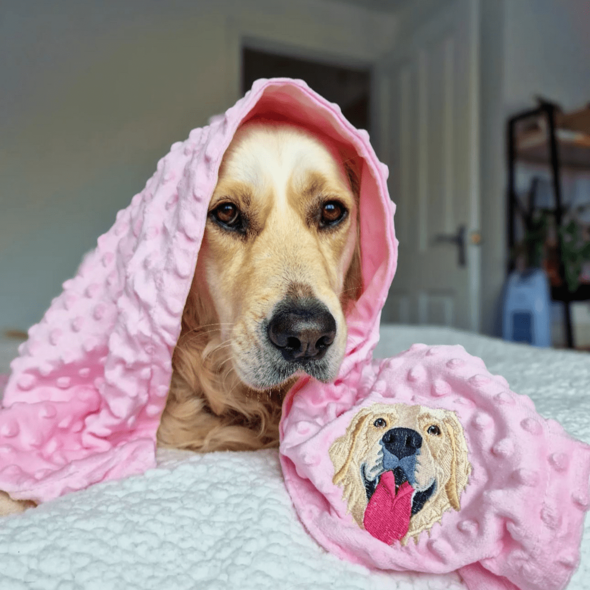 Embroidered Custom Pet Portrait Pet Blanket - Lucy and Lola Shop