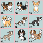 Embroidered Dog Breed Patch - Lucy and Lola Shop