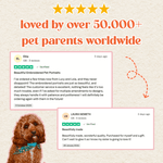 Embroidered Pet Portrait All - Weather Dry Robe - Lucy and Lola Shop