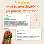 Embroidered Pet Portrait Dog Walking Bottle Bag - Lucy and Lola Shop