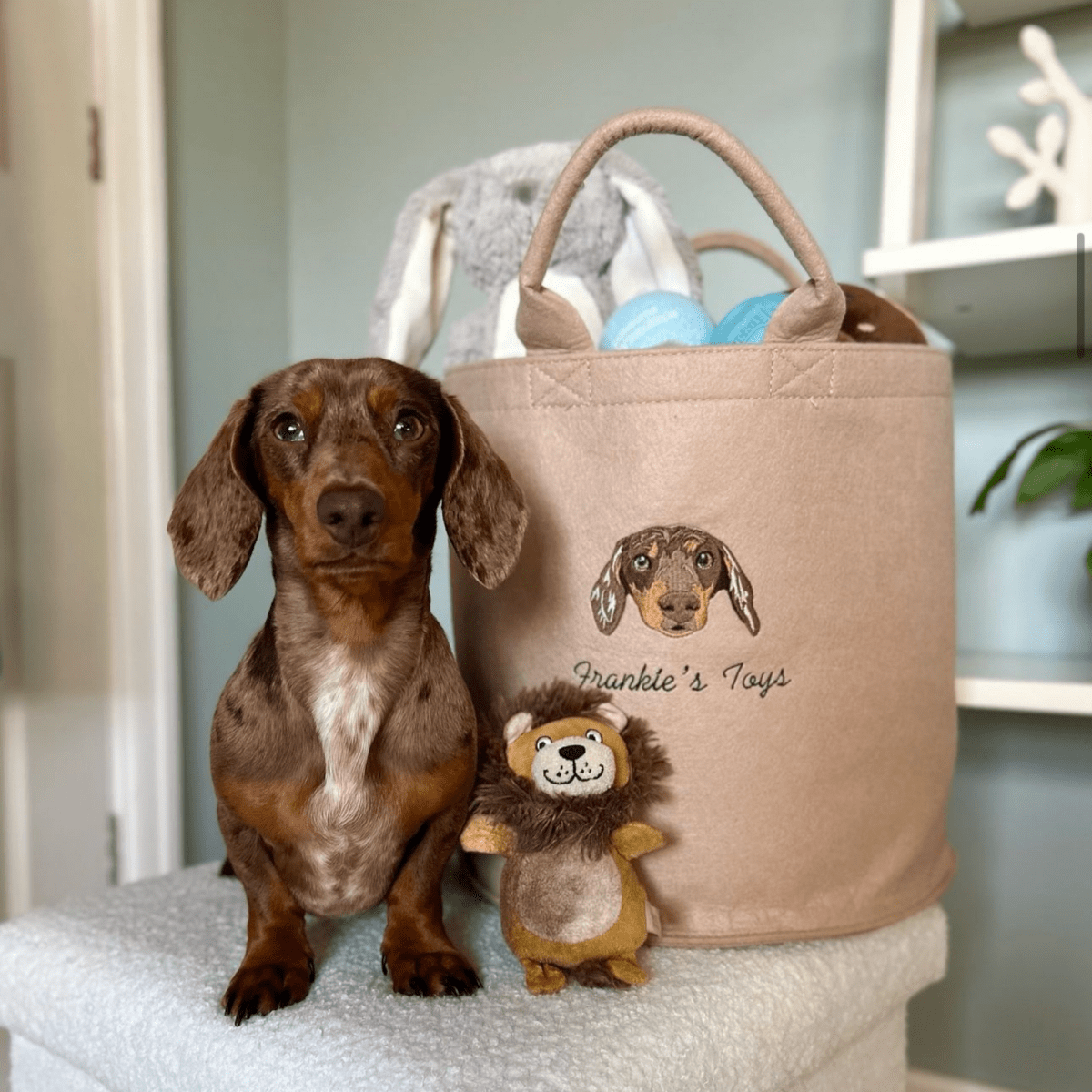 Embroidered Pet Portrait Felt Toy Basket - Lucy and Lola Shop