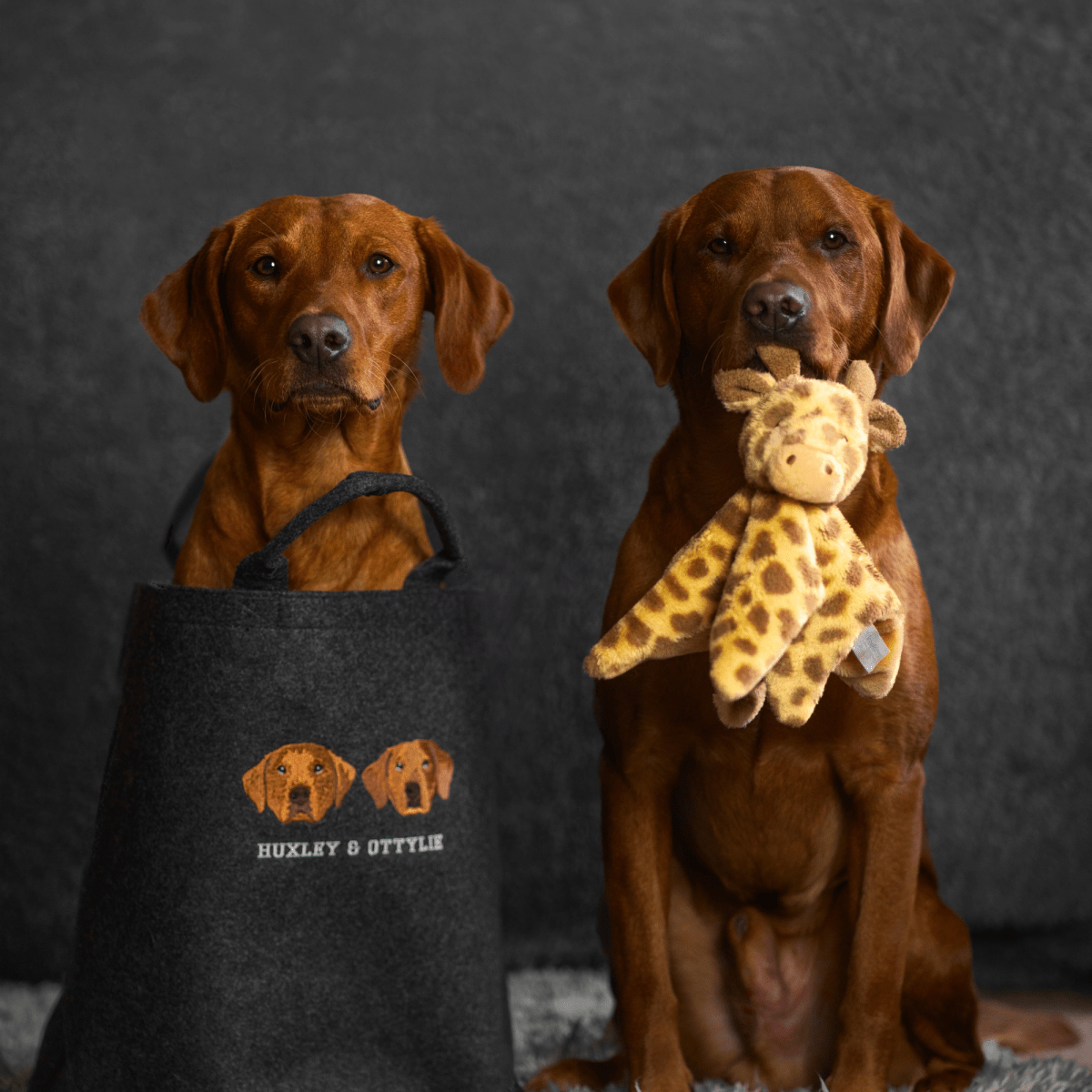 Embroidered Pet Portrait Felt Toy Basket - Lucy and Lola Shop