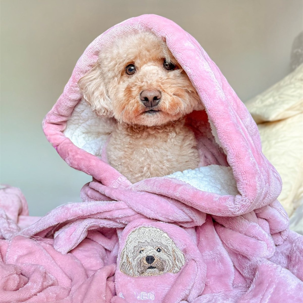 Embroidered Pet Portrait Hooded Blanket - Lucy and Lola Shop