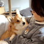 Embroidered Pet Portrait Hooded Blanket - Lucy and Lola Shop