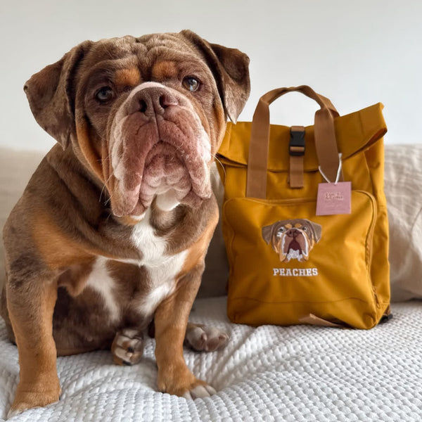 Embroidered Pet Portrait Mini Rolltop Recycled Backpack - Lucy and Lola Shop