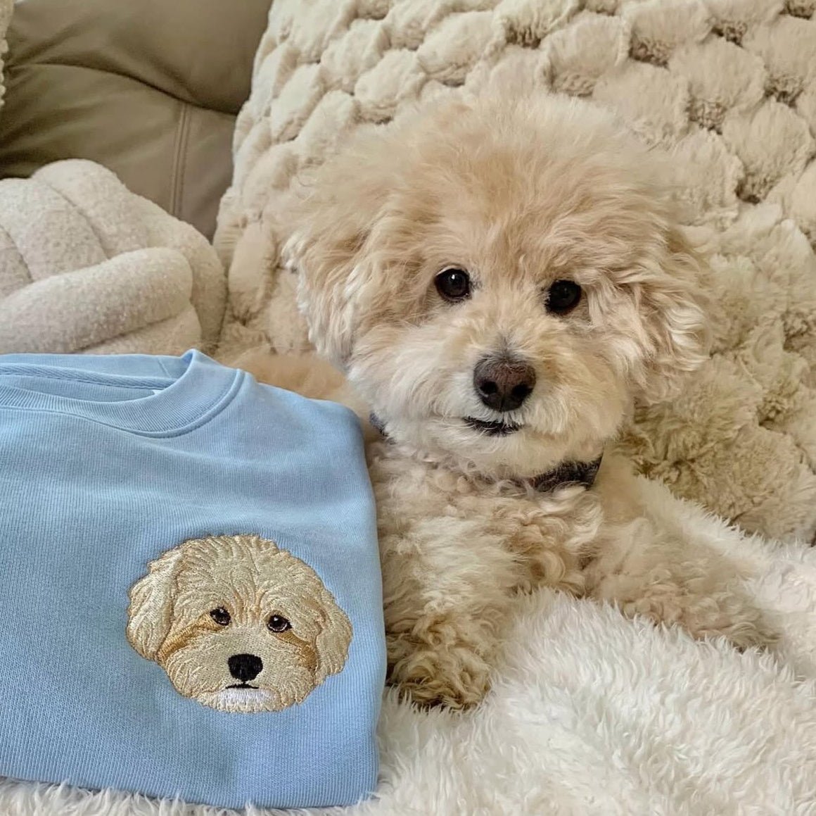 Embroidered Pet Portrait Organic Sweatshirt - Lucy and Lola Shopcustom pet embroidered sweatshirt