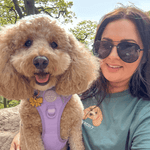 Embroidered Pet Portrait Organic T-Shirt - Lucy and Lola Shop