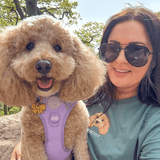 Embroidered Pet Portrait Organic T-Shirt - Lucy and Lola Shop