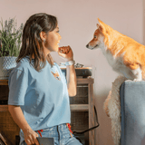 Embroidered Pet Portrait Organic T-Shirts – 50% Off - Lucy and Lola Shop