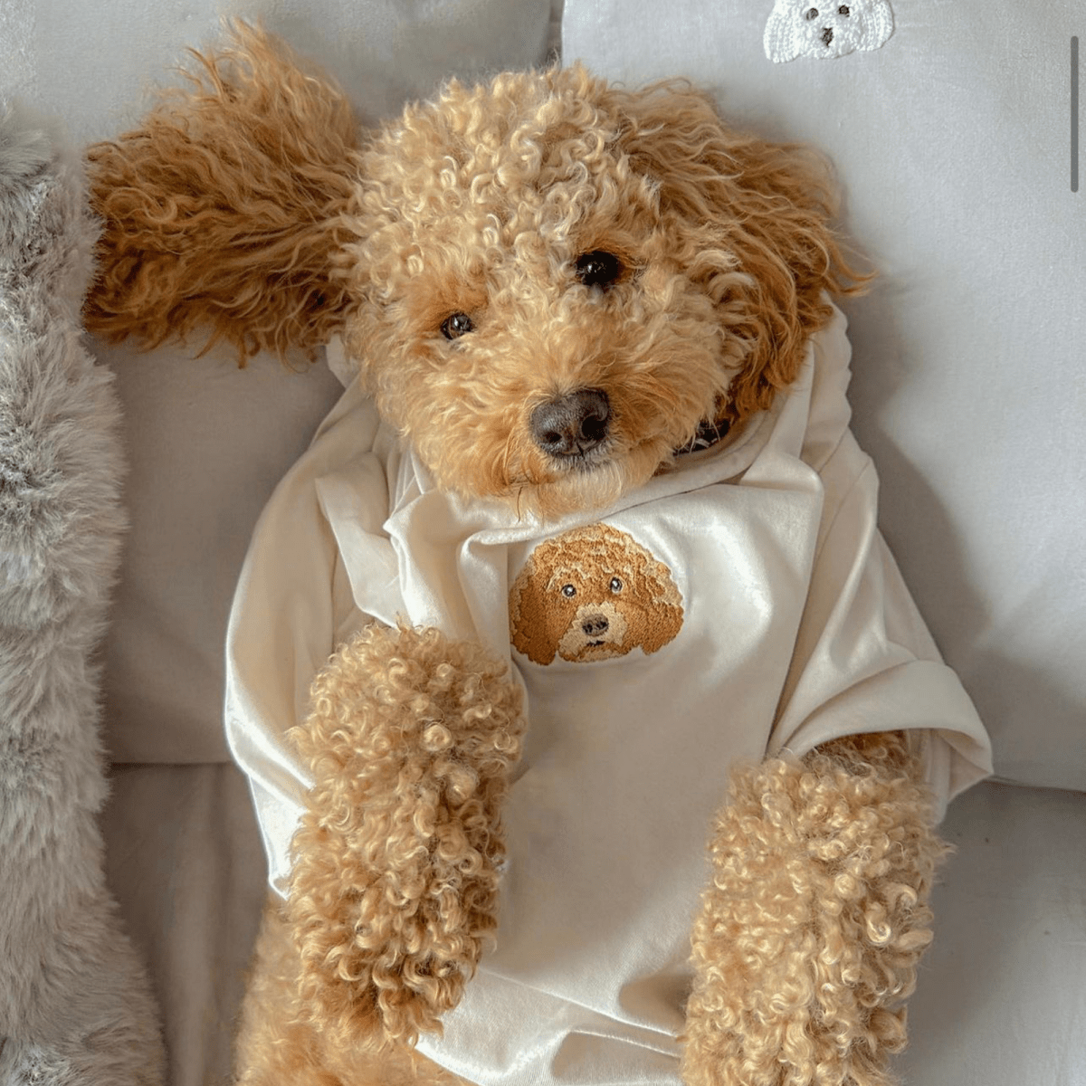 Embroidered Pet Portrait Organic T-Shirts – 50% Off - Lucy and Lola Shop