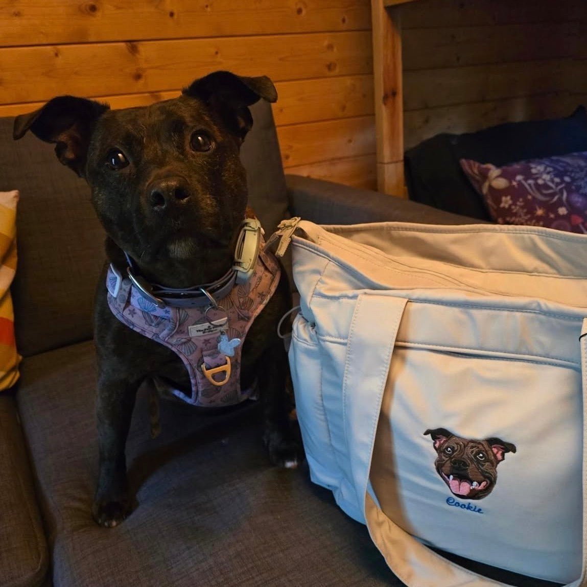 Embroidered Pet Portrait Oversized Tote Bag - Lucy and Lola Shop