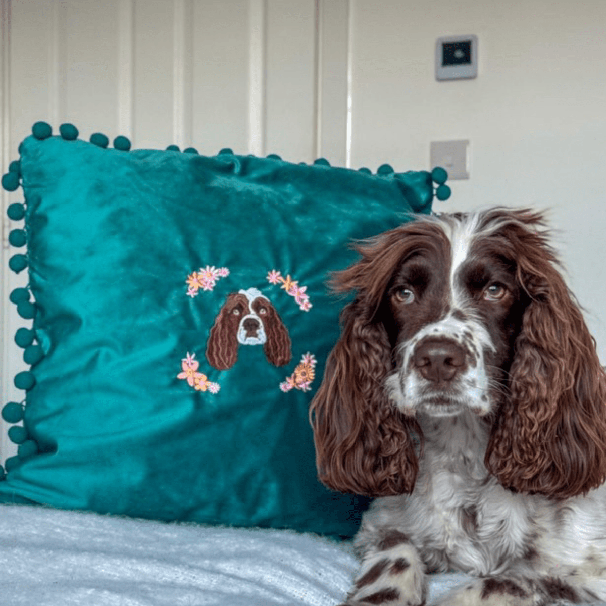 Embroidered Pet Portrait Velvet Pom Pom Cushion - Lucy and Lola Shop