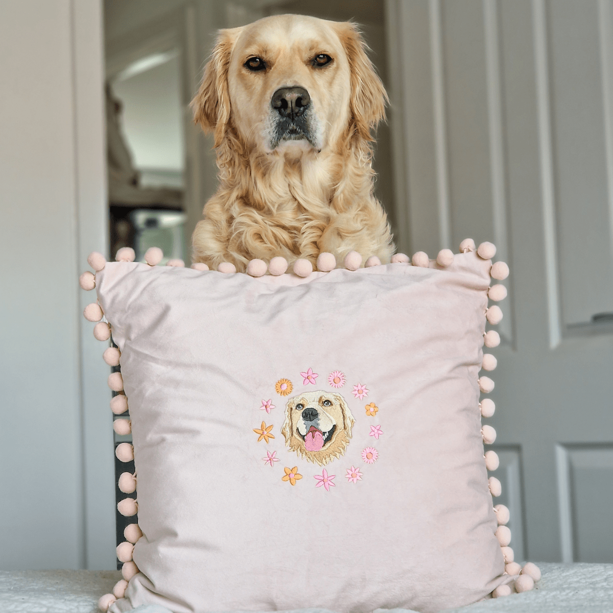 Embroidered Pet Portrait Velvet Pom Pom Cushion - Lucy and Lola Shop