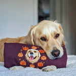 New: Autumn Design Embroidered Pet Portrait Organic Sweatshirt - Lucy and Lola Shop