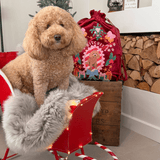 New: Printed Pet Portrait Velvet Christmas Sack Stocking - Lucy and Lola Shop