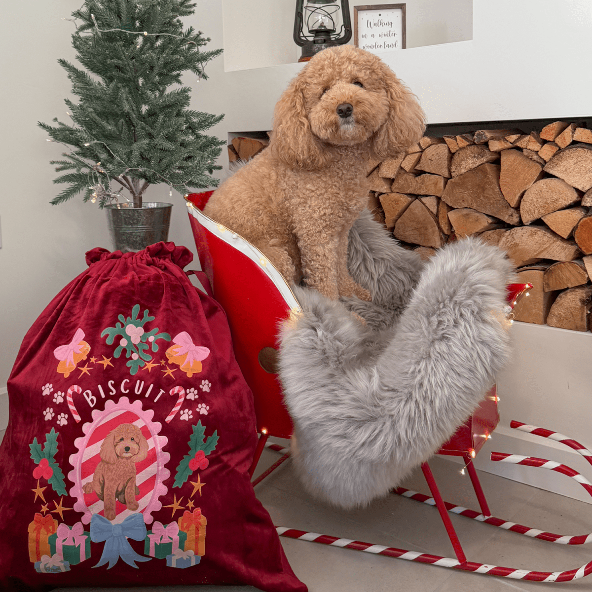 New: Printed Pet Portrait Velvet Christmas Sack Stocking - Lucy and Lola Shop