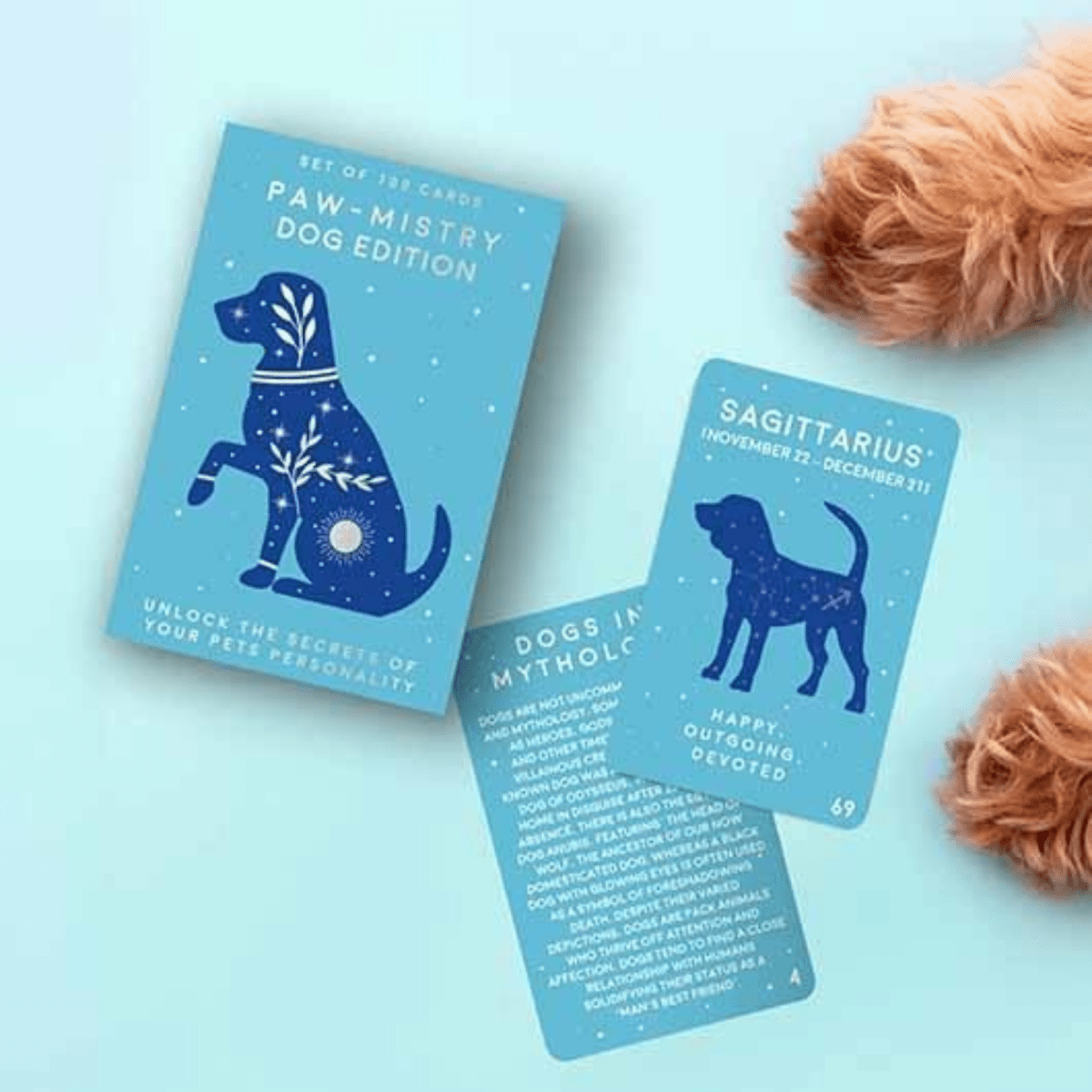 Paw - mistry Set - Lucy and Lola Shop