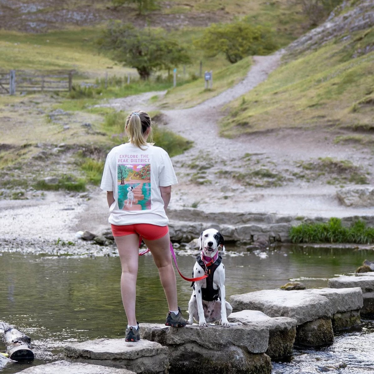 Printed Pet Portrait Peak District Organic T-Shirt - Lucy and Lola Shop