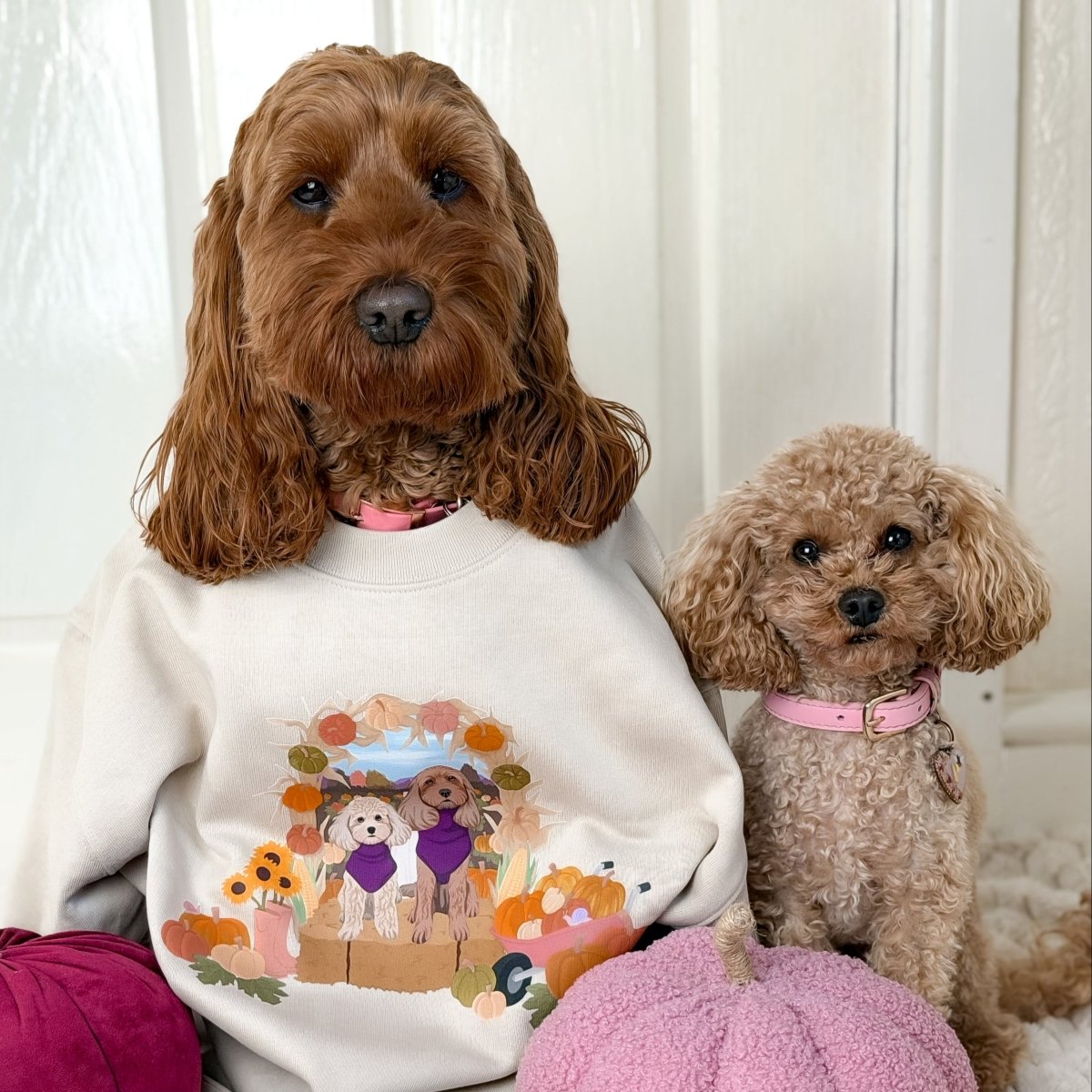 Printed Pet Portrait Pumpkin Patch Organic Sweatshirt - Lucy and Lola Shop