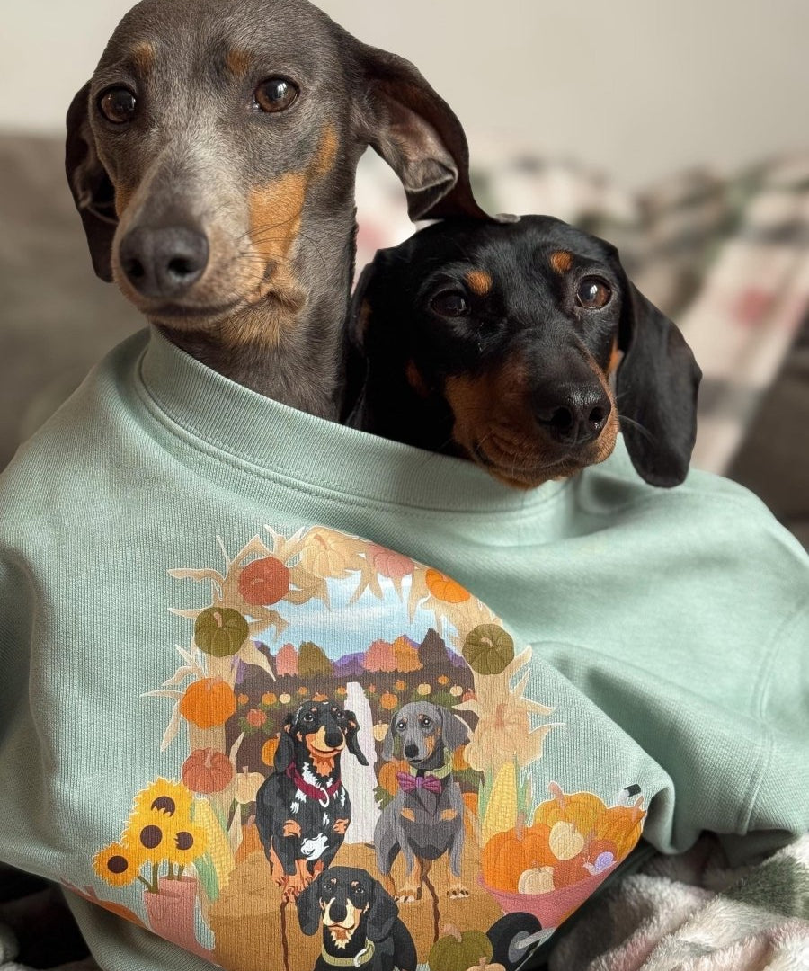 Printed Pet Portrait Pumpkin Patch Organic Sweatshirt - Lucy and Lola Shop