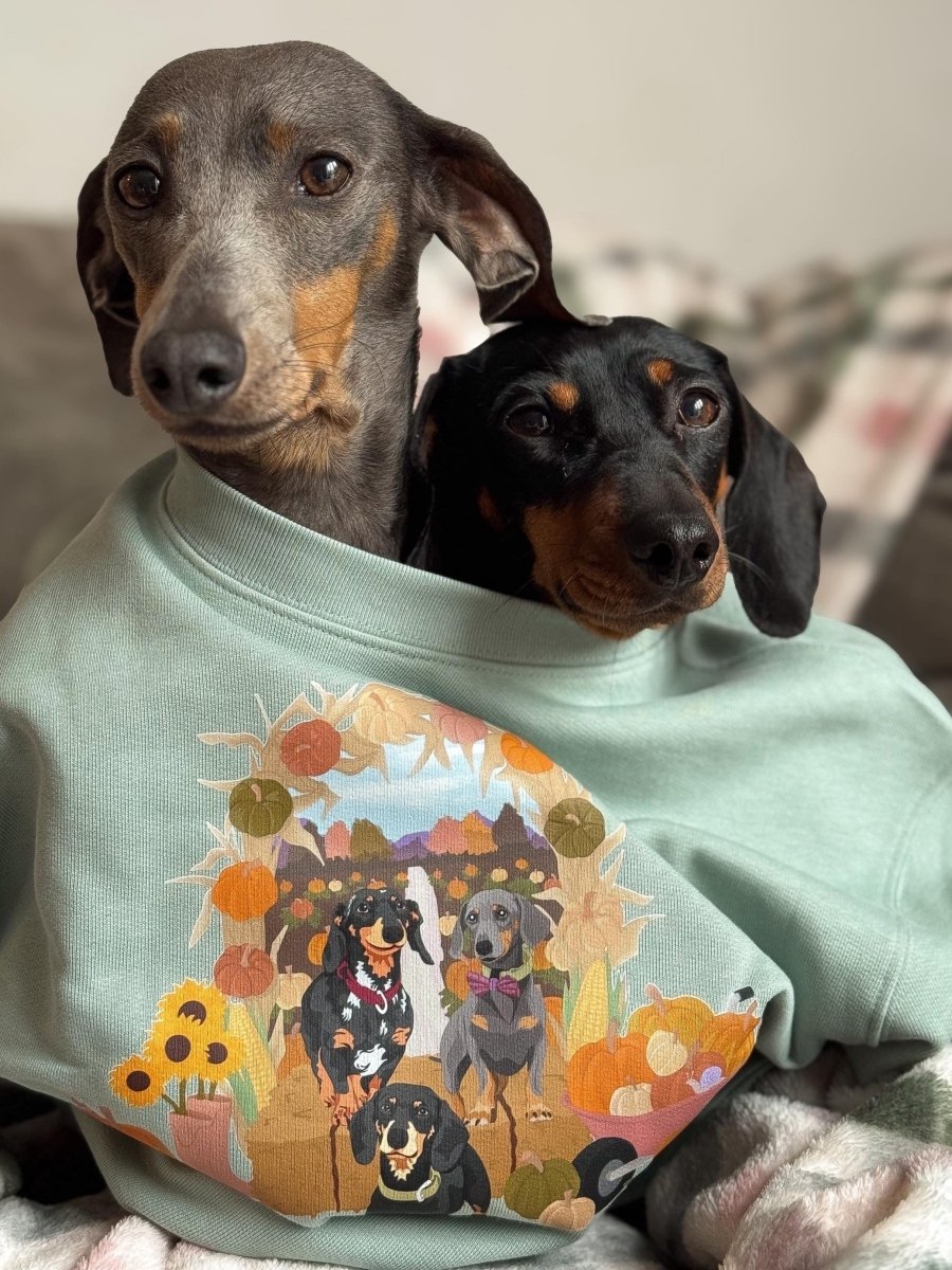 Printed Pet Portrait Pumpkin Patch Organic Sweatshirt - Lucy and Lola Shop