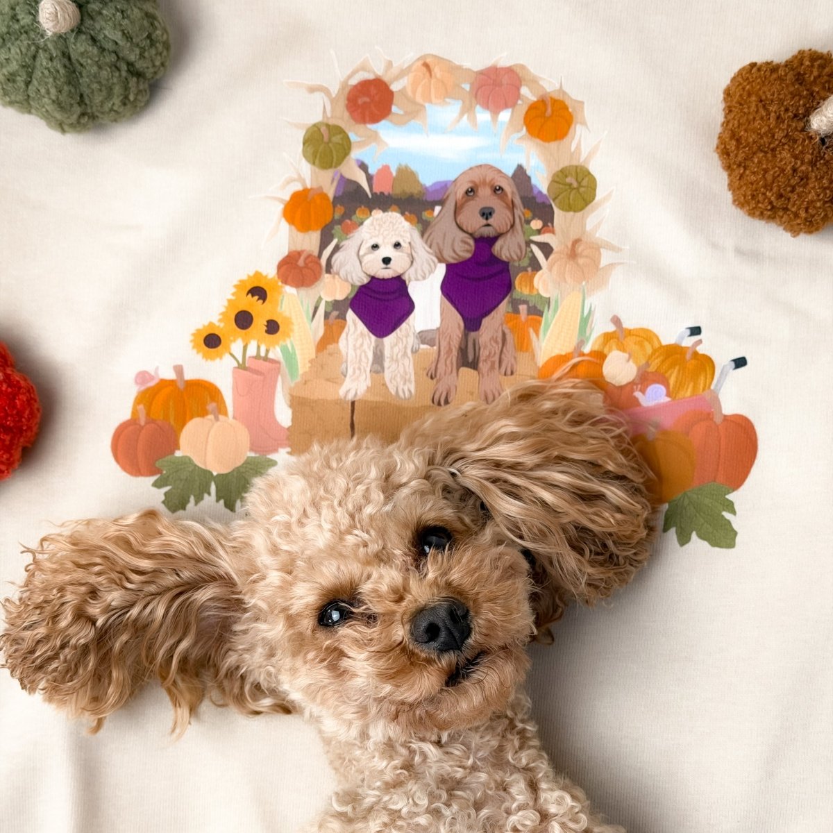 Printed Pet Portrait Pumpkin Patch Organic Sweatshirt - Lucy and Lola Shop
