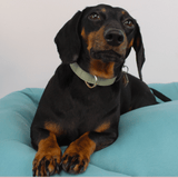 Upcycled Sweatshirt Dog/Cat Bed - Lucy and Lola Shop