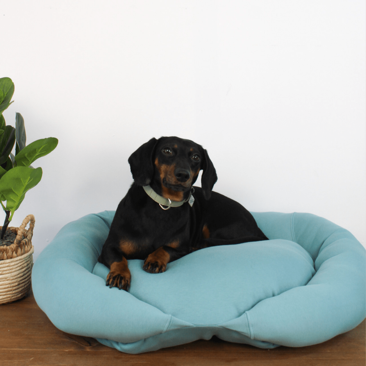 Upcycled Sweatshirt Dog/Cat Bed - Lucy and Lola Shop