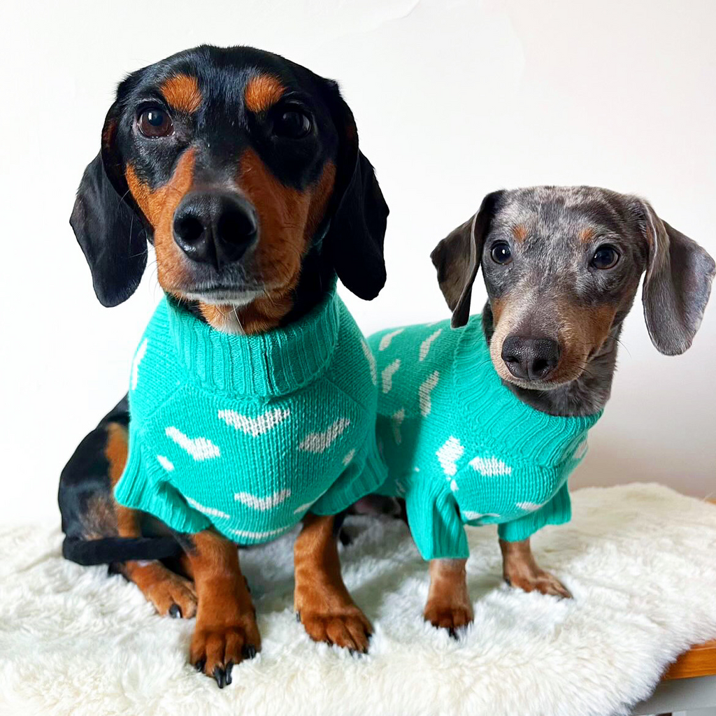 knitted dog jumper with hearts 