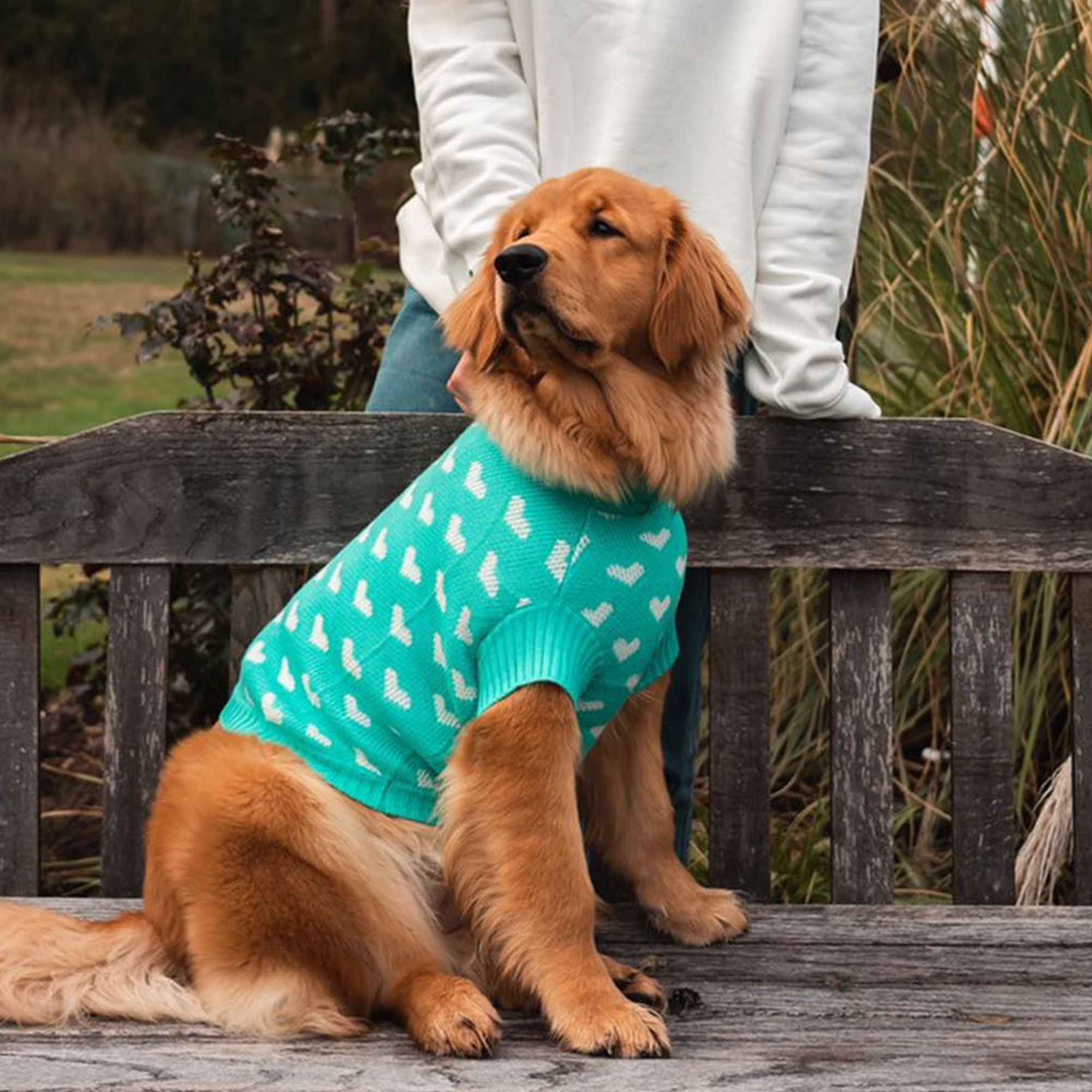 knitted dog jumper with hearts 