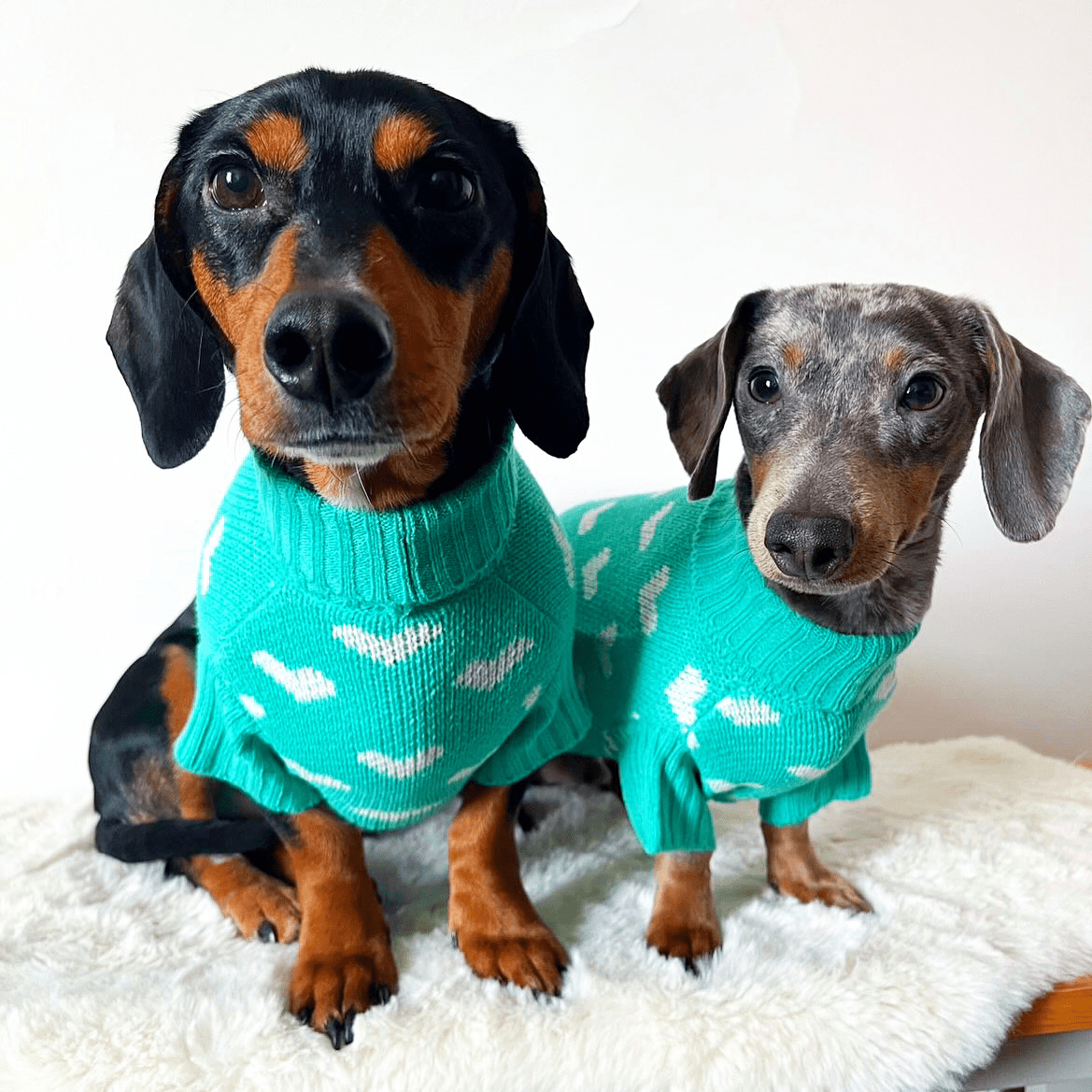 Teal Heart Knitted Dog Jumper or Cat Jumper - All Profits to the Dog's Trust - Lucy and Lola Shop