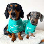 Teal Heart Knitted Dog Jumper or Cat Jumper - All Profits to the Dog's Trust - Lucy and Lola Shop