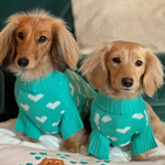 knitted dog jumper with hearts 