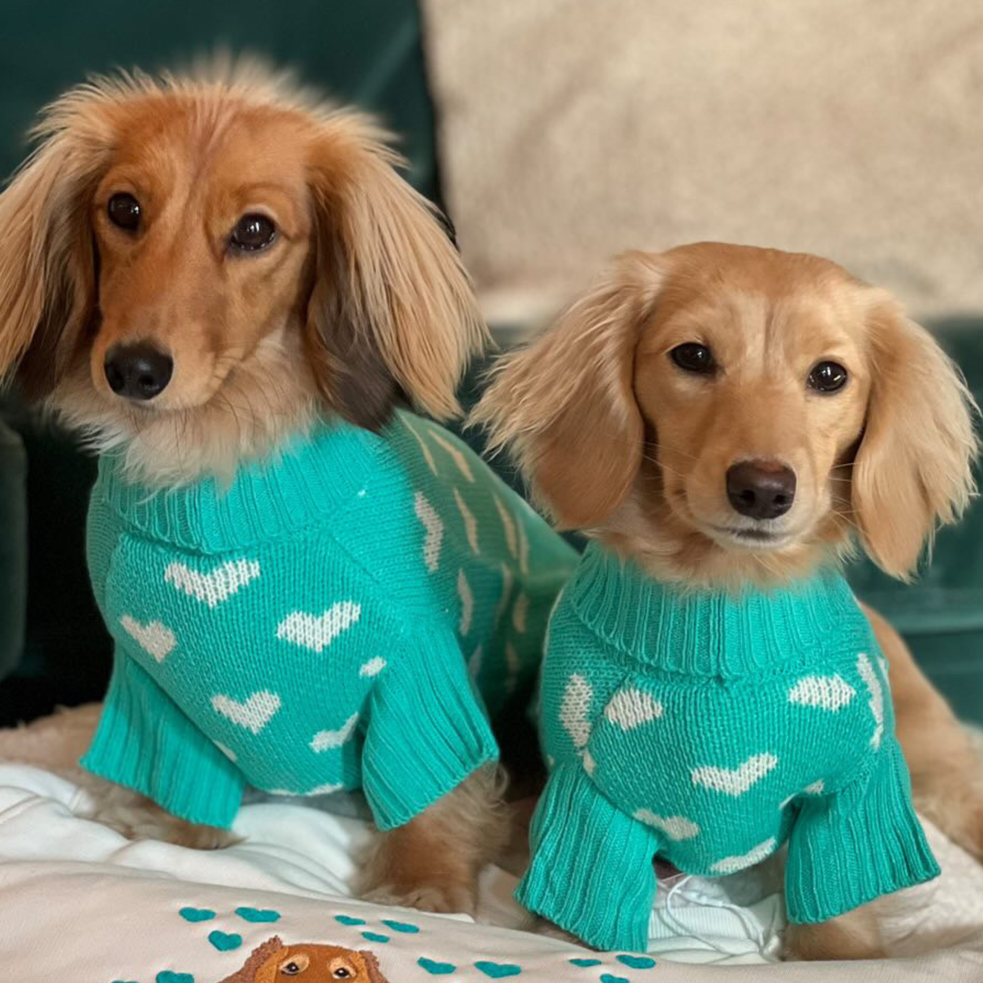 knitted dog jumper with hearts 